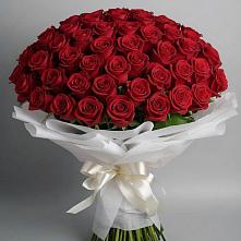 Букет 101 Красная роза Блэк Мэджик #REPLACE_PRED# Шмелёнки