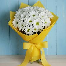 Букет цветов из:  Хризантемы в Шмелёнки