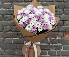 Букет цветов из:  Хризантемы #REPLACE_PRED# Шмелёнки