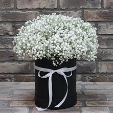 Цветочная композиция из Гипсофила в шляпной коробке в Шмелёнки